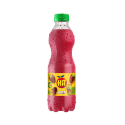 JUGO HIT MORA * 500 ML