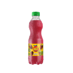JUGO HIT MORA * 500 ML