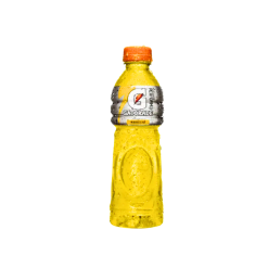 GATORADE MARACUYA * 500 ML