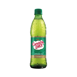 GASEOSA CANADA DRY GINGER * 300 ML